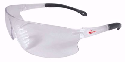 Picture of Safety Glasses